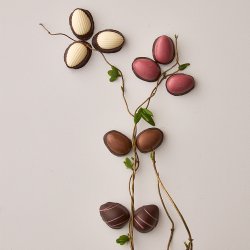 Enkeltpakkede delikatesse�g, 10 gr.